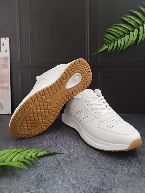 کتونی اکوجدید