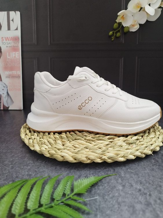 خریداکو سفیدecco